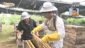 ①オジャ　はちみつ　魅川さん体験